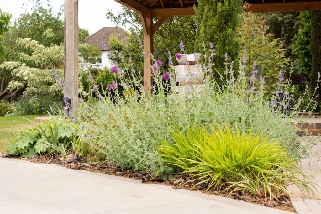Soft planting