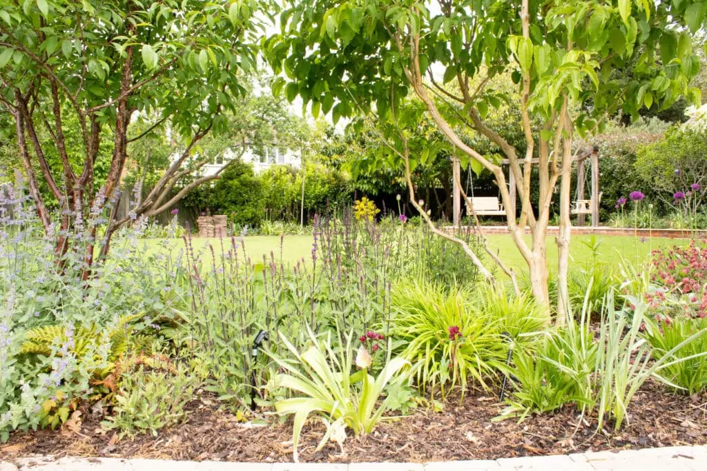 Textural Planting