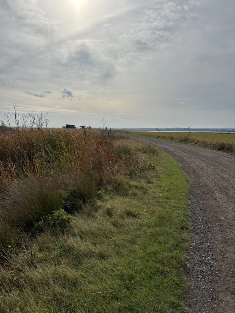 Big skies from Elmley Nature Reserve on the Isle of Sheppey