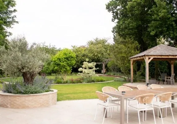 A focal point Olive tree in a round raised planter, flanks the dining area