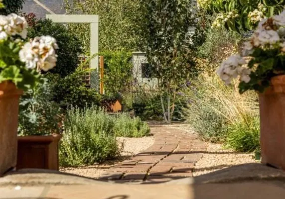 Views of the paths and planting